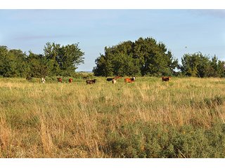Tract 11 - LAND AUCTION - 440+/- Acres offered in 15 Tracts in Tulsa County